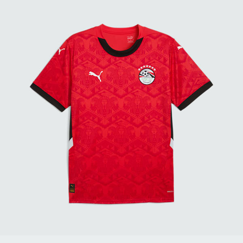 Egypt Home Jersey 2024/25  - Original Players Version